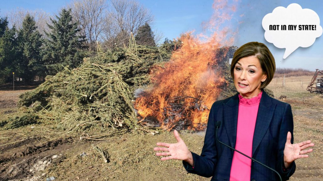 Featured image for the post, "Kim Reynolds' Cannabis Policies: A Laughable Failure (That Isn't Funny)"