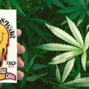 Banner image for the post, "Sugar THC-P Disposable 5G Review: It's Time to Get Lifted, My Friends!" featuring my hand holding the product box against a bacground of Cannabis leaves.